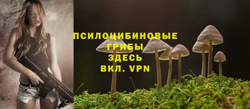 Псилоцибиновые грибы Psilocybe  мориарти состав  Боготол  купить наркоту 